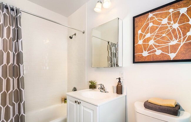 Building Photo - Luxury Brookline 1 Bed
