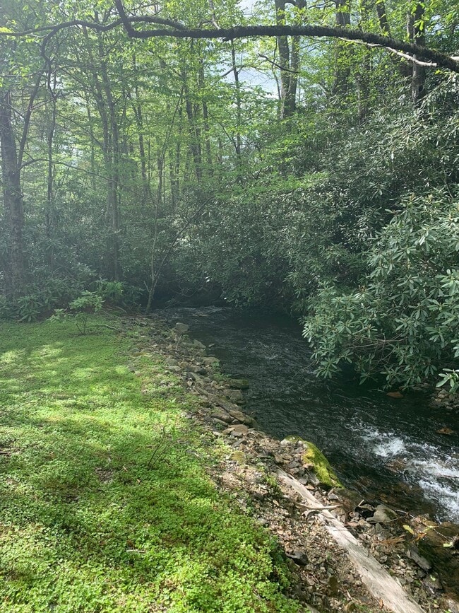 Building Photo - 103 Clary Ct