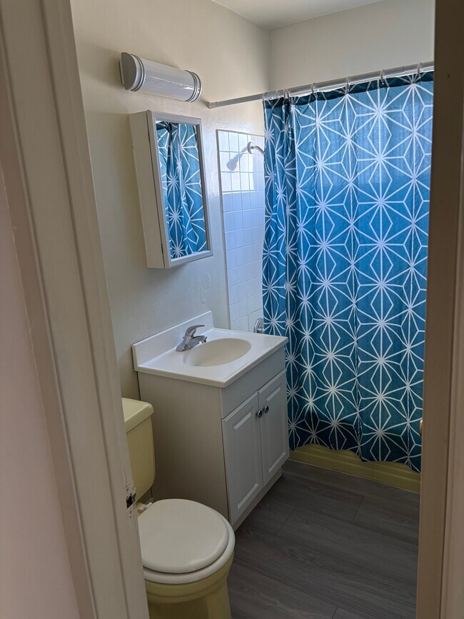 hall way full bath - 25219 Loytan St