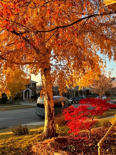 View from front porch - 357 S 1300 E