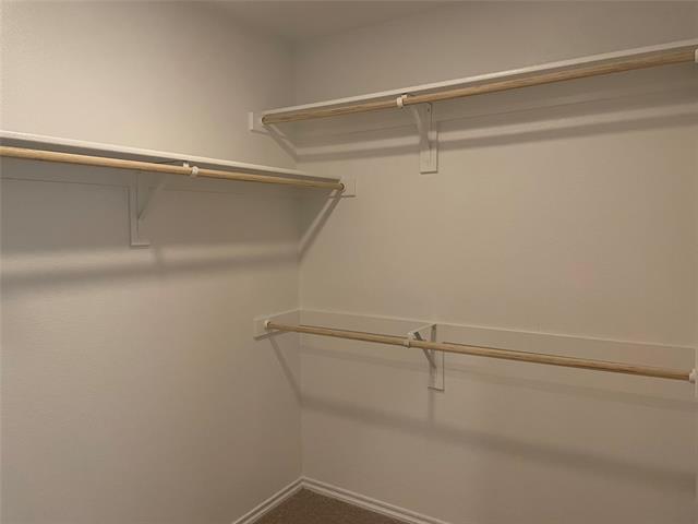 Building Photo - 4324 Cordata Dr