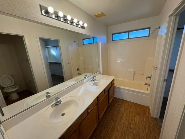 Building Photo - Willis Ranch Home in Chandler