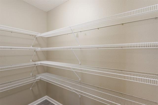 Building Photo - 1005 Live Oak Dr