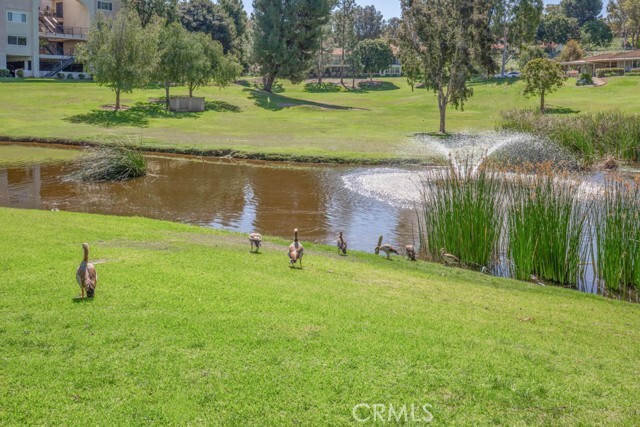 Building Photo - 5510 Paseo Del Lago W