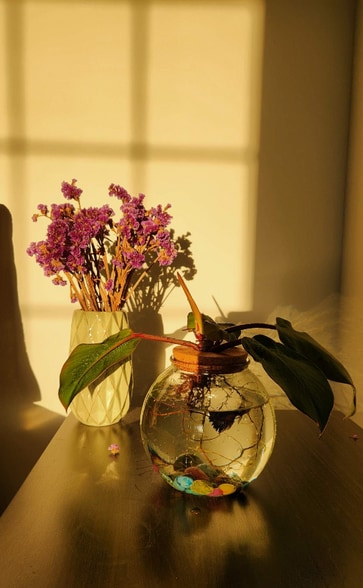 Building Photo - 8511 Falls Run Rd