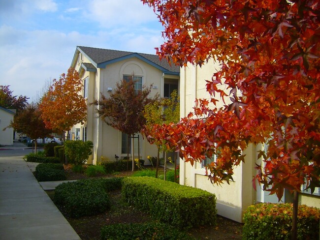 Building Photo - Rose Garden Senior Apartments