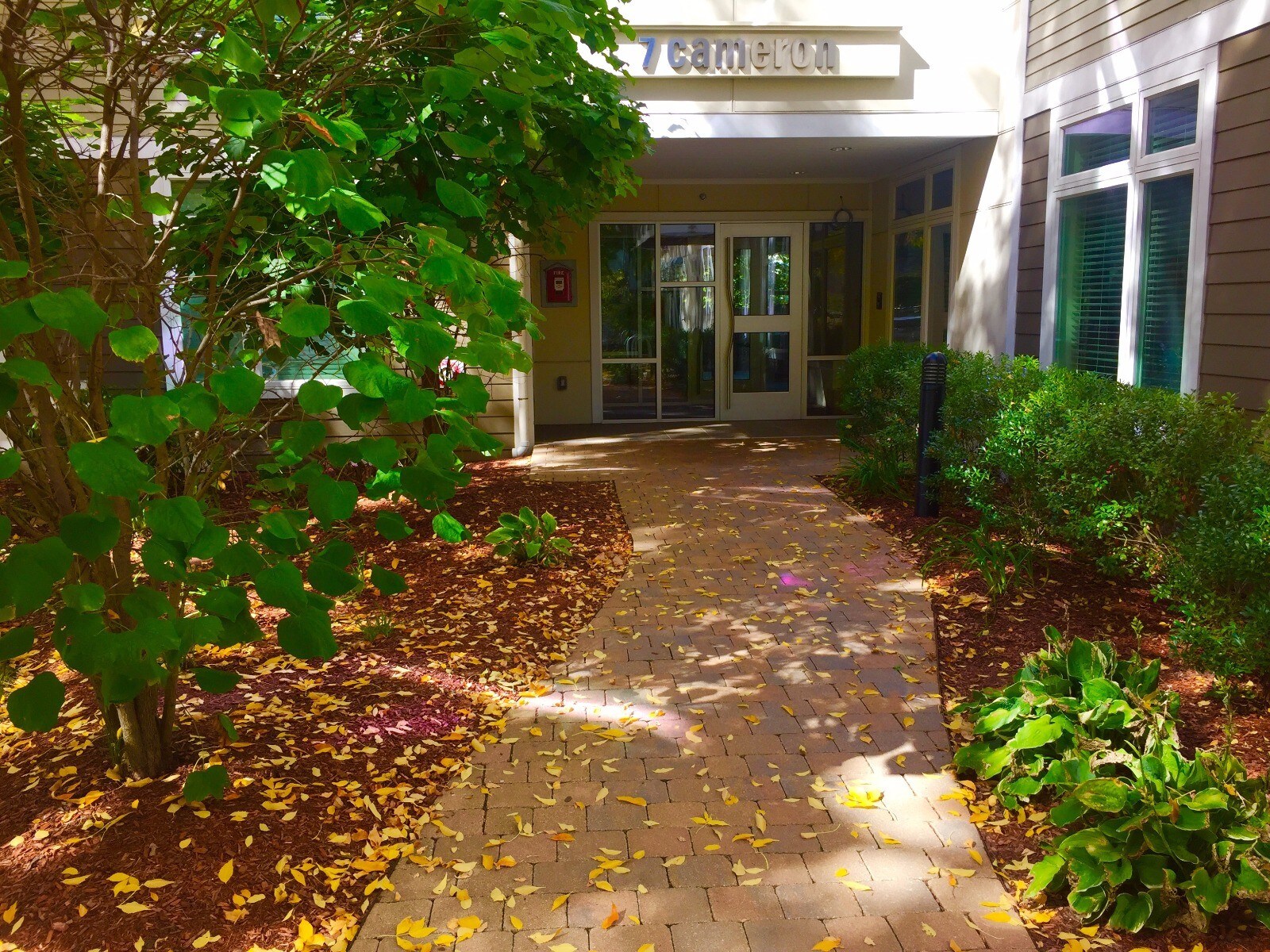 Building Photo - 7 Cameron Ave