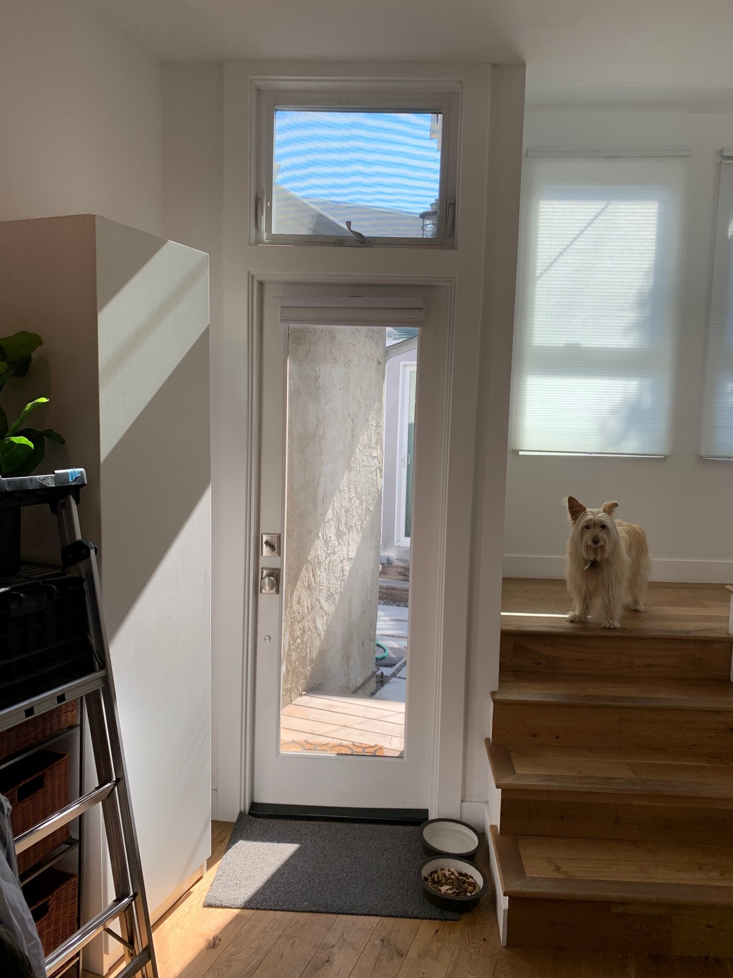 kitchen rear patio door - 3310 1/2 S Durango Ave