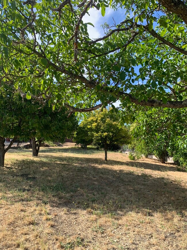 Building Photo - 9080 Santa Lucia Rd