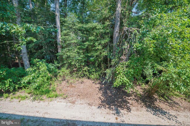 Building Photo - 800 College Ln