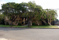 Building Photo - Short St Apts
