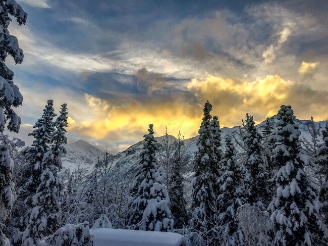 Building Photo - Nestled in beautiful Alaskan Wilderness