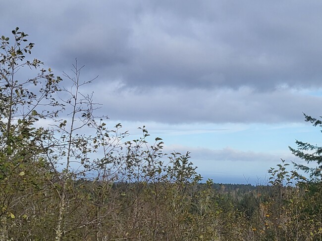 Building Photo - 284 Watershed Rd