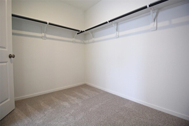 Building Photo - 3218 Elm Br Dr