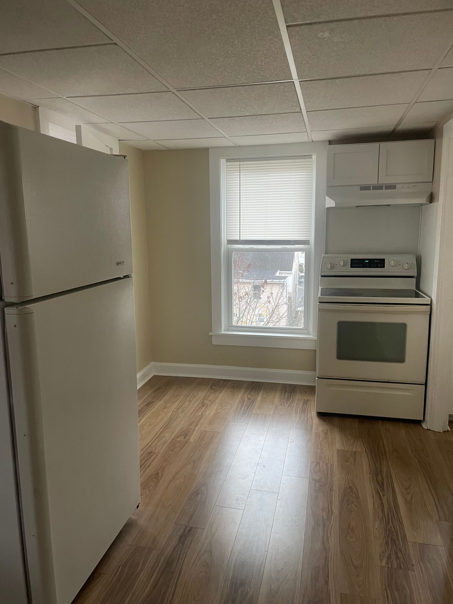 Building Photo - 42 Ann St