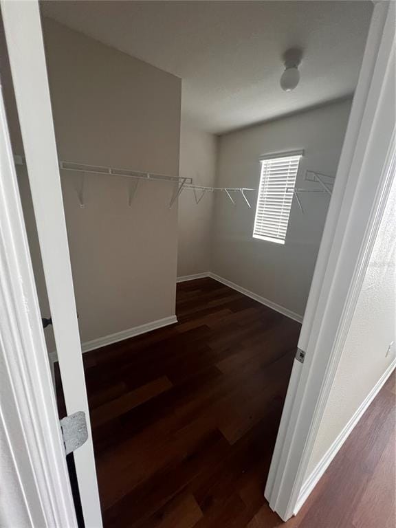 Building Photo - 8174 Pelican Reed Cir