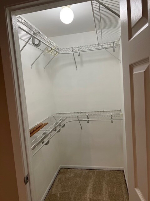 Building Photo - 629 N Deer Run Dr
