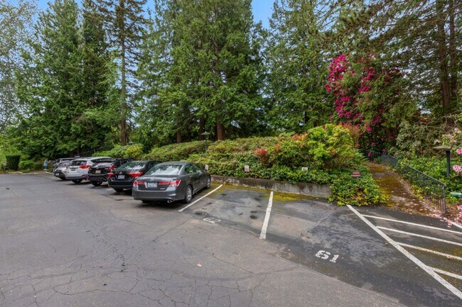 Building Photo - 1Bd/1Ba Edmonds Condo