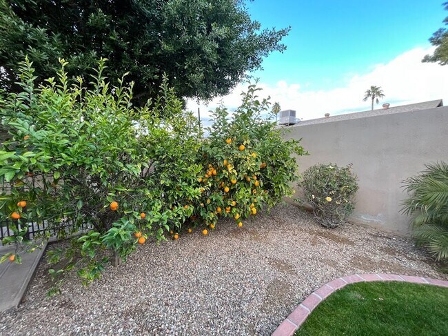 Building Photo - Elegant North Glendale Retreat with Premium Upgrades