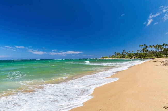 Building Photo - 4-820 Kuhio Highway-SI ID1376586P