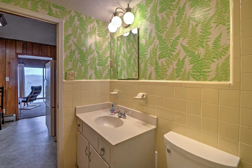 lower level bath - 1225 Becky Mountain Road
