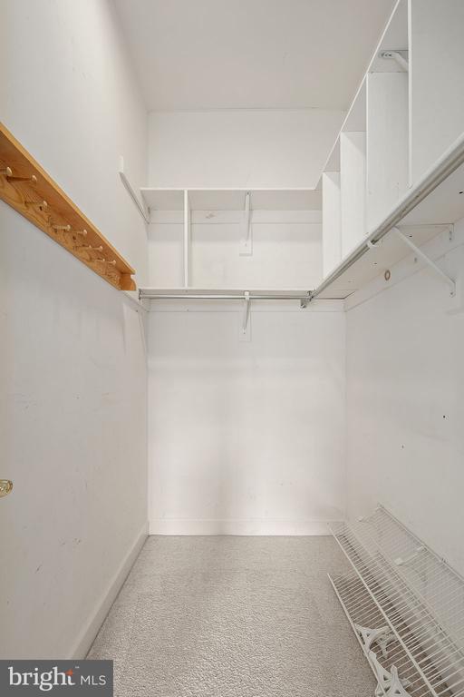 Building Photo - 3912 Maximilian Ct