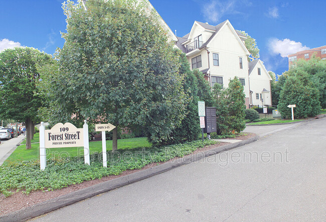 Primary Photo - 109 Forest St