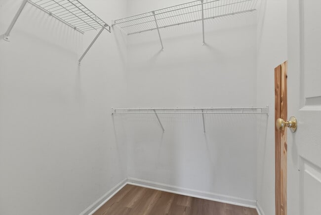 Building Photo - Beautiful Ranch Home Near Dining, Shopping & The Palladium