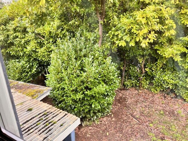 Building Photo - 1471