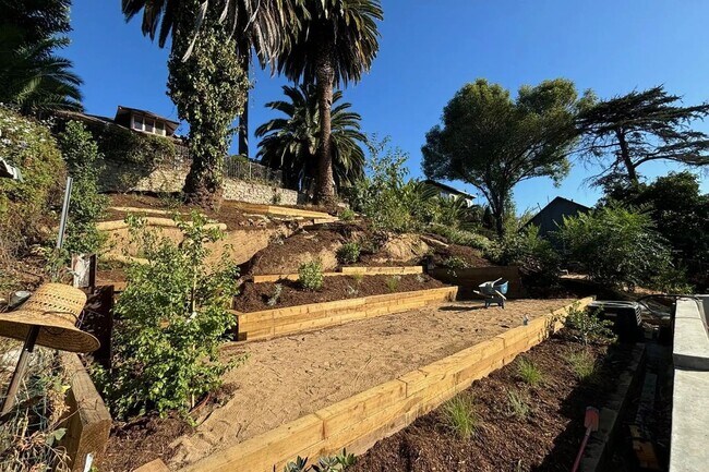 Building Photo - Stunning modern classic home. Gustavo Lopez AMSI