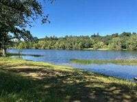 Building Photo - Gorgeous lakeside home on acreage in Shing...