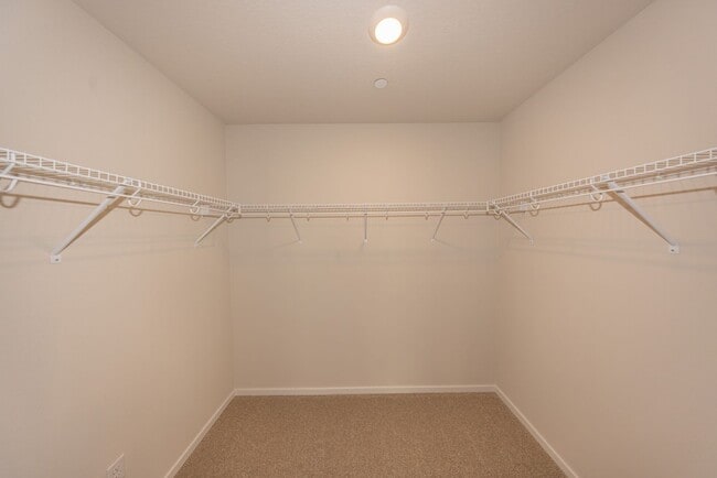 Building Photo - Brand New! - 3 Bedroom Townhome in Brush P...