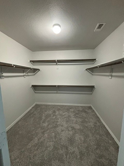 Building Photo - 1428 Montoya Ln