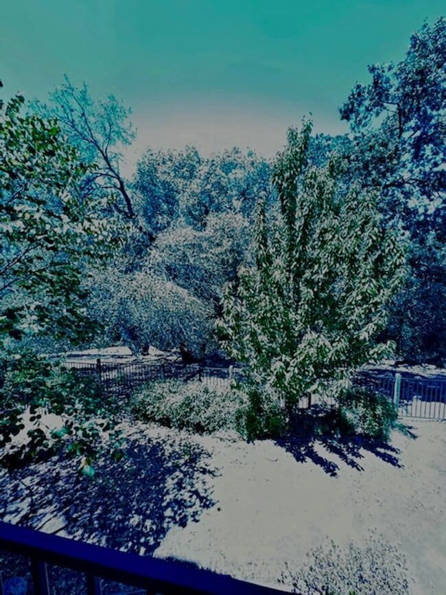 Building Photo - Springfield Home with a View - MUST BE 55 YEARS OF AGE