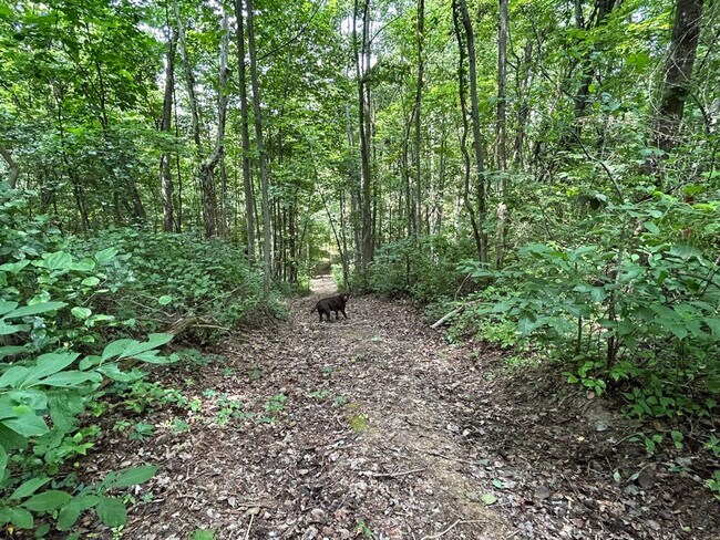 Building Photo - 23120 Bates Rd