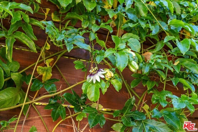 Building Photo - 4104 Saugus Ave