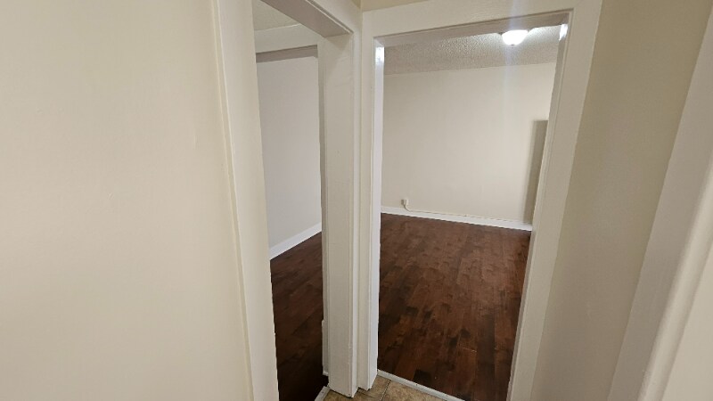 Building Photo - 1521 Wilcox Ave