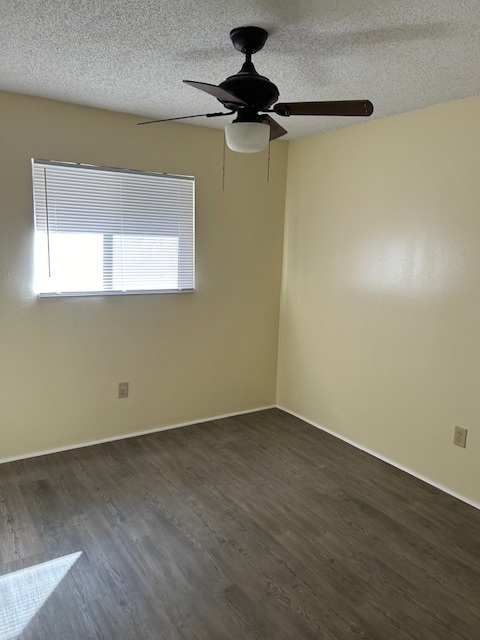 Building Photo - Completely Remodeled three bedroom/one bath