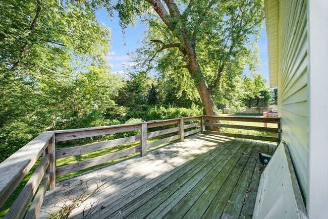 Building Photo - 45 Randlett St