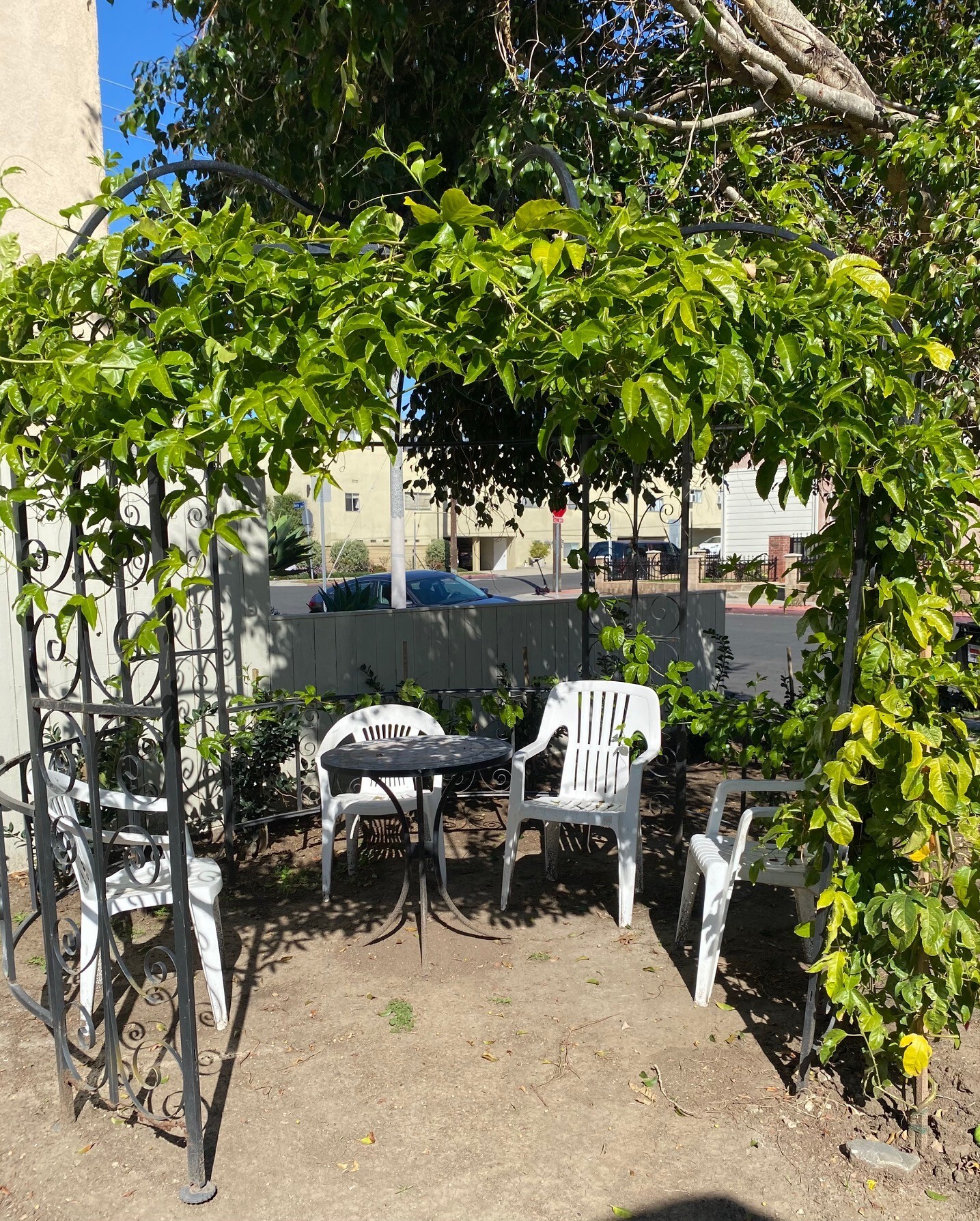 Backyard - 1707 Barry Ave
