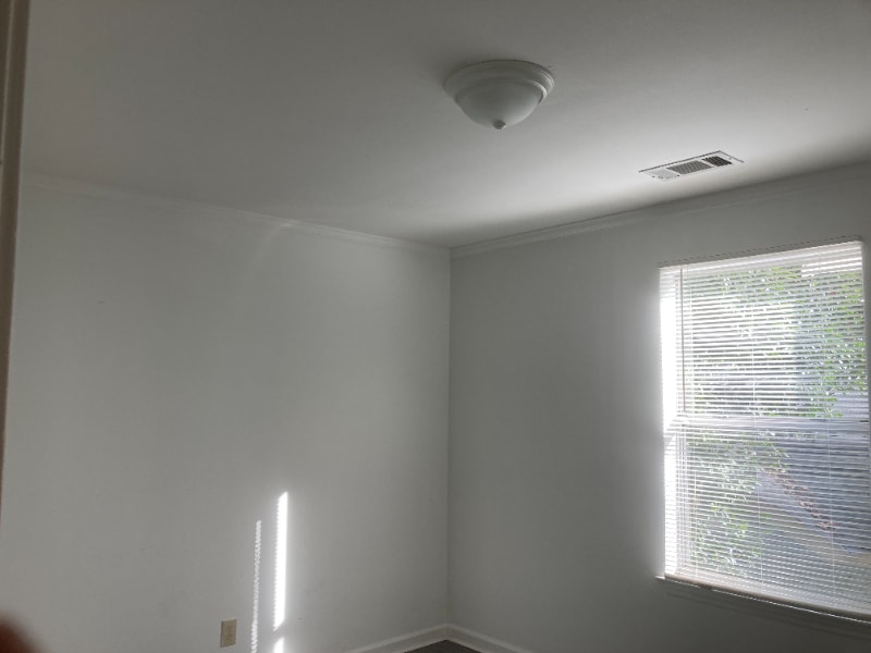 Building Photo - 2020 Plum St