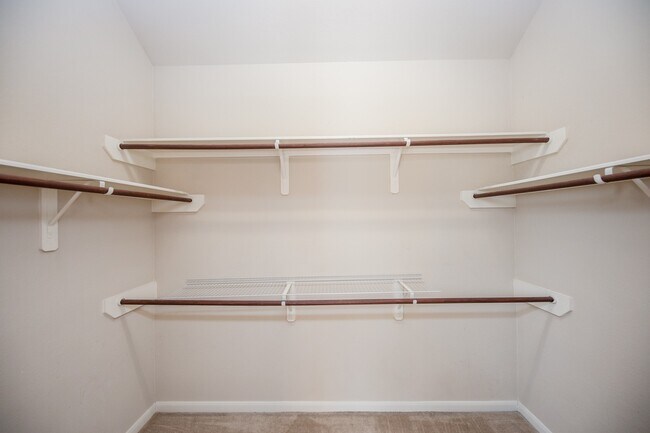 Building Photo - 25310 Basil Brook Ct