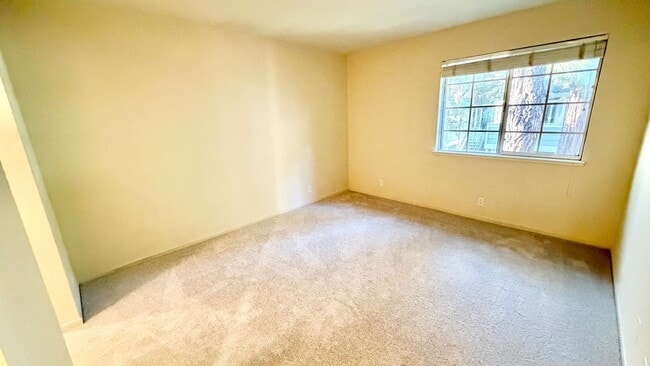 Building Photo - Remodeled 1 Bed 1 Bath Condo. Stainless Steel Appliances. Pool and Hot Tub