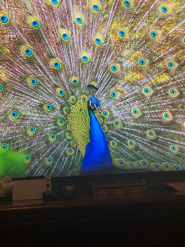 Building Photo - 25039 Summit Creek