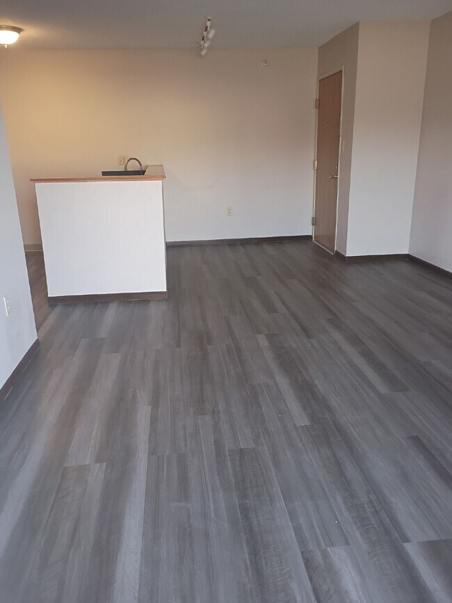 Building Photo - 1 Bedroom |1 Bathroom 1st Floor Unit in Oelwein - Available June!