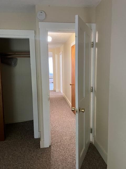 Building Photo - 43 Cumberland St