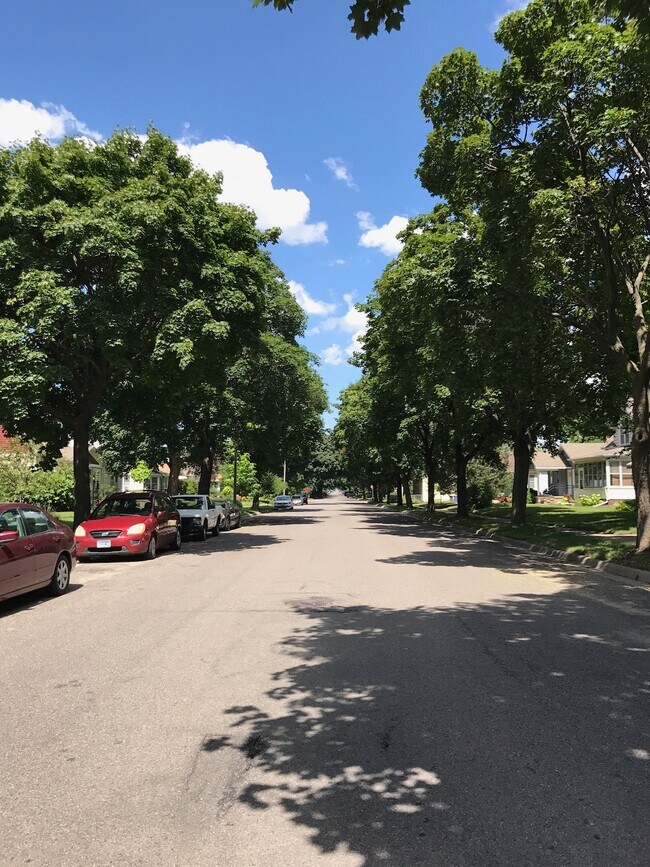 Street parking with lots of shades - 4048 Snelling Ave