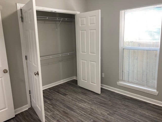 Middle Bedroom has a large closet - 1223 E Waldburg St