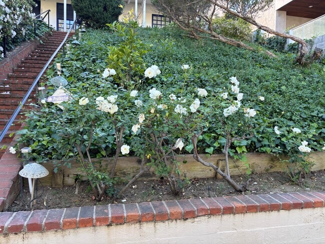 Building Photo - 1845 Pandora Ave