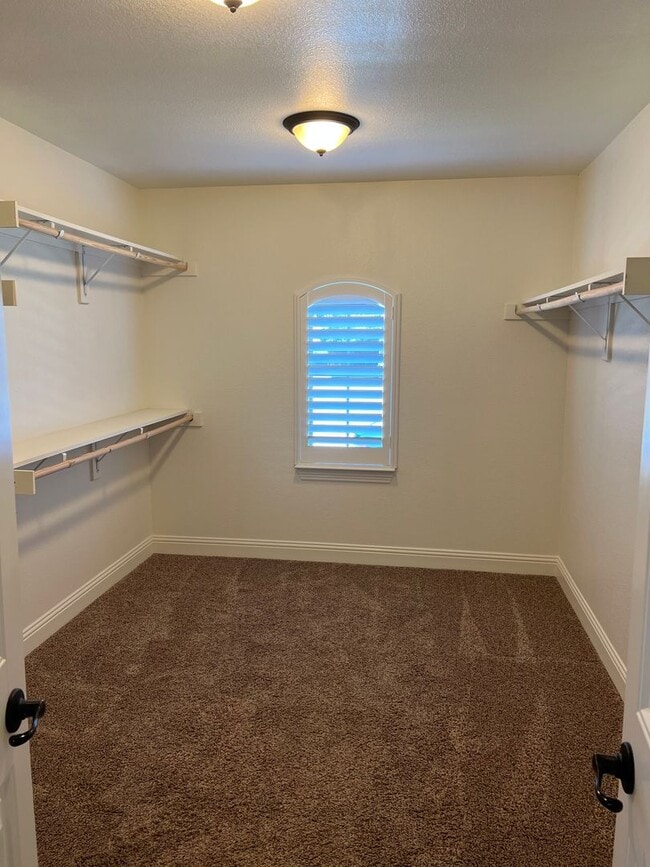 Building Photo - Cameron Lane